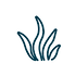seagrass.png