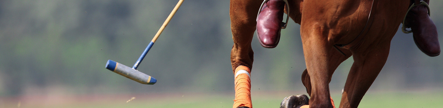 Polo Mallet