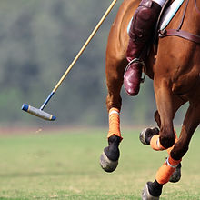 Horse running with polo mallet