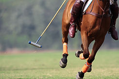 Polo Mallet