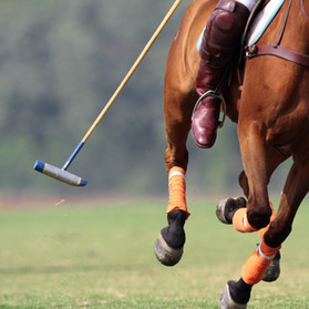 Polo Mallet