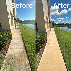 driveway cleaning 3