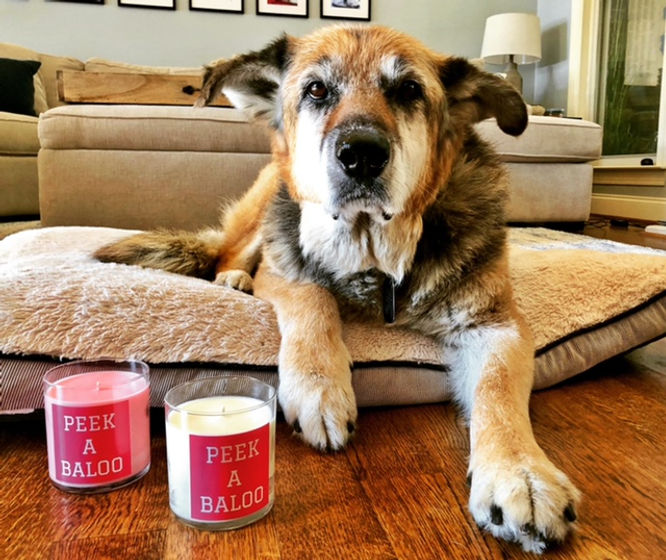 Baloo_Candles.jpeg