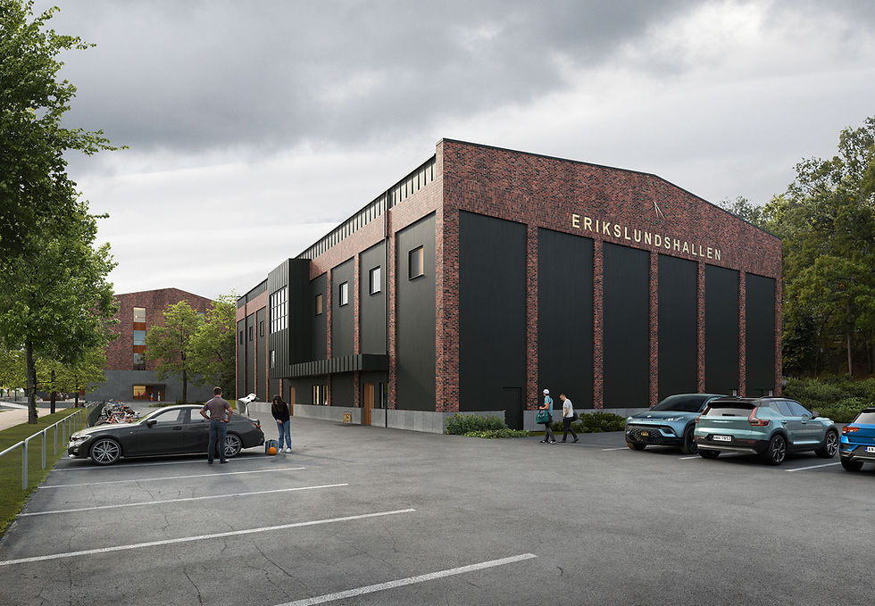 Visulent.Fredblad.Arkitekter.Erikslundskolan.Basket_web.jpg