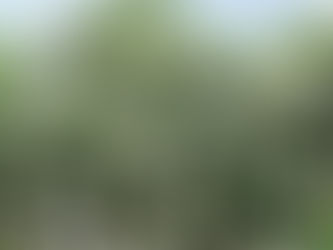 ສະບາຍດີປີໃຫມ່ລາວ ພ.ສ 2569 ຄສ 2026.