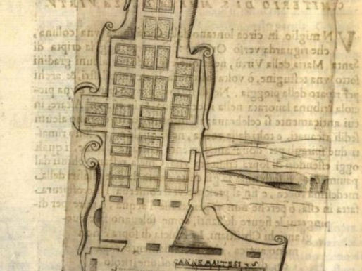 Tre piante storiche di una famosa catacomba maltese.