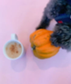 IMG_8525.jpeg