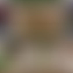 احتفاء المرحلة الابتدائية