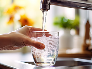 What do Blue Ribbon Water filters remove?
