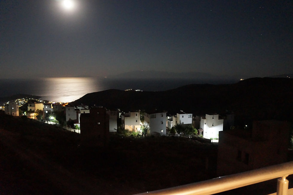 DSC00310