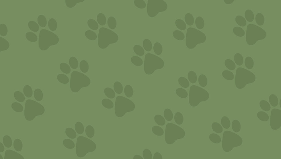 background-DP-2.jpeg