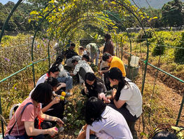 Eco-Cultural Activity