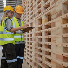 Quality control specialists inspecting hundreds of pallets for leading pallet company.