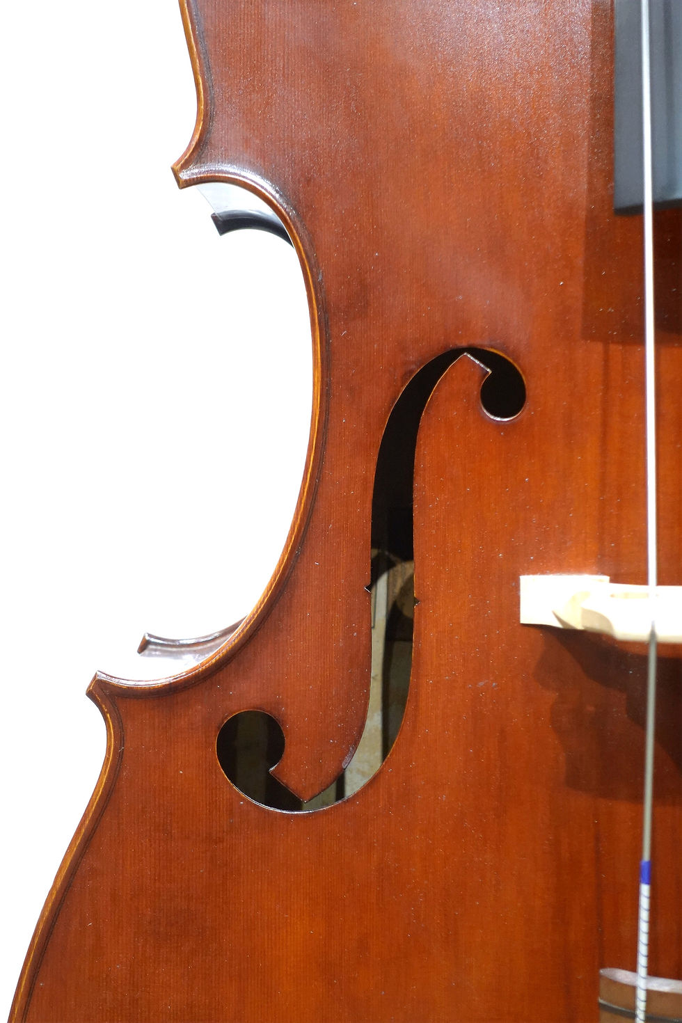 Thumbnail: Eastman VB605 Yamamoto model 2006