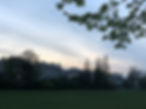 IMG_3558.jpeg