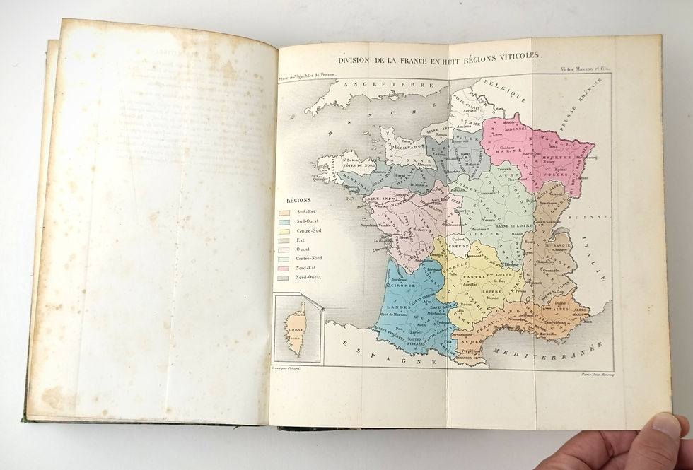 Miniature : Guyot - Étude des vignobles de France - 1868
