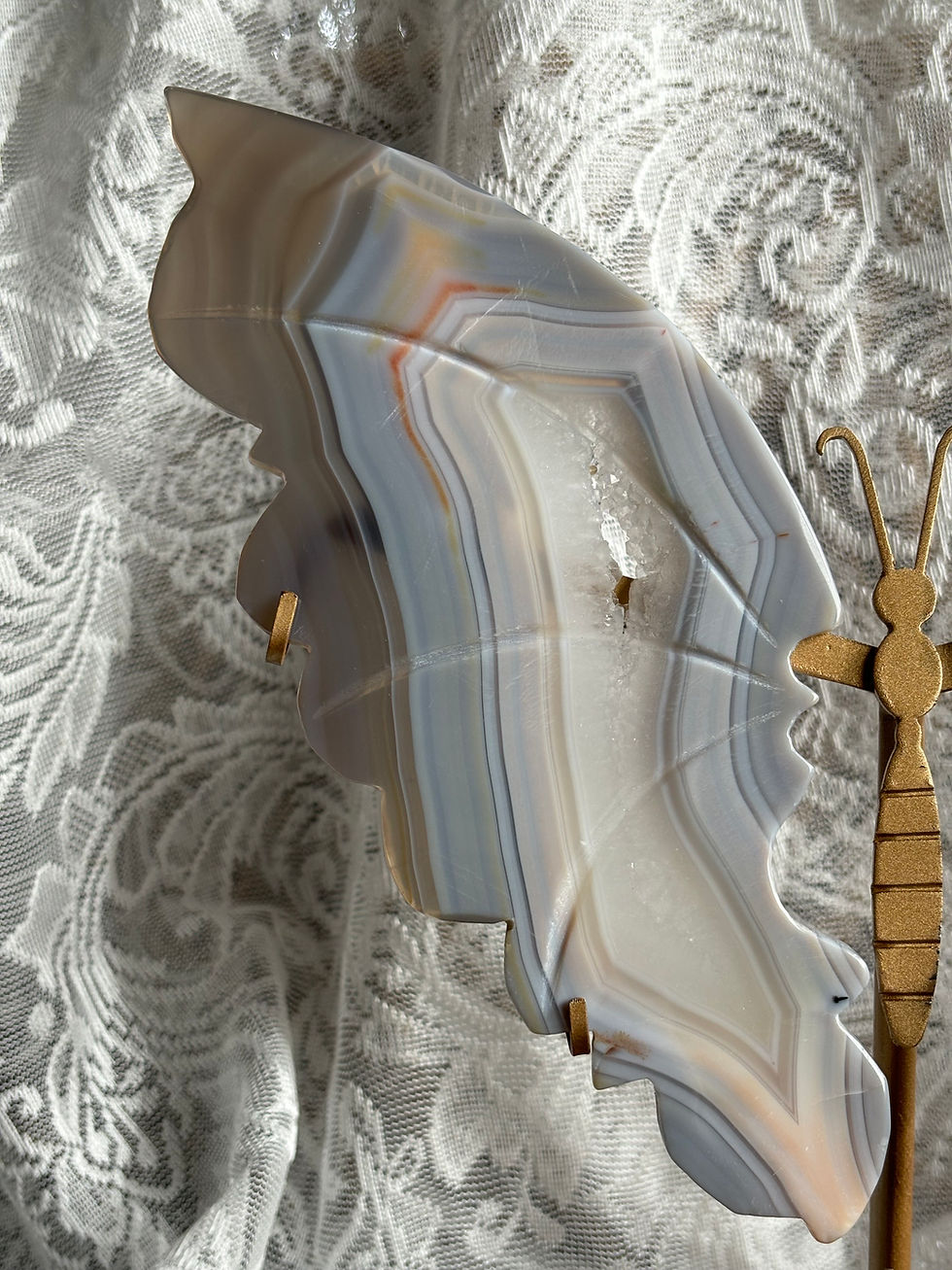 Thumbnail: Blue Lace Agate Butterfly Wings