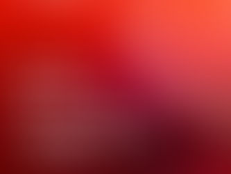 2025 중국 하이난성 사업 진출 프로그램