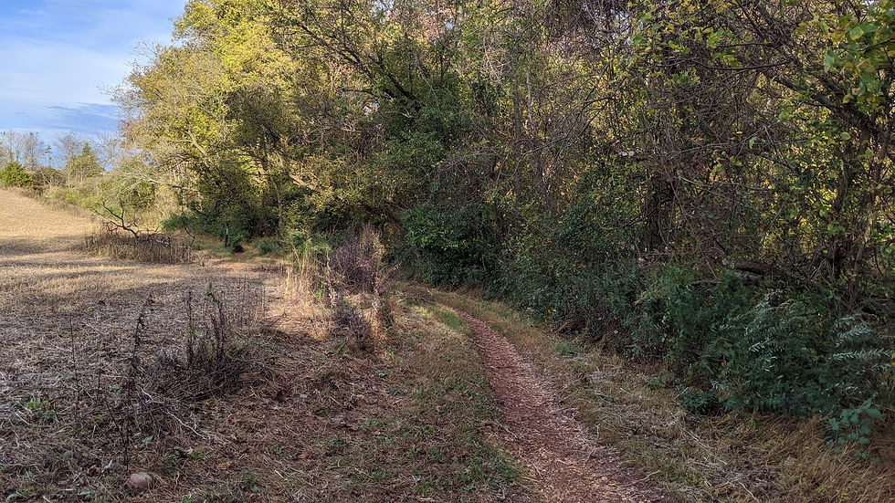 At Six Mile Run in 2019.