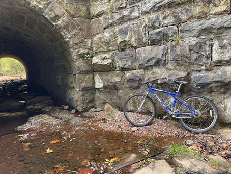 How I Learned to Stop Worrying and Buy a Bike