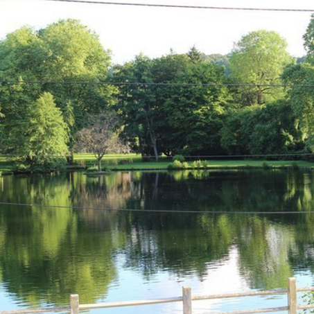 Une pétition sur change.org