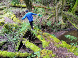 Camping Glamping Pucon Llankalil Natural