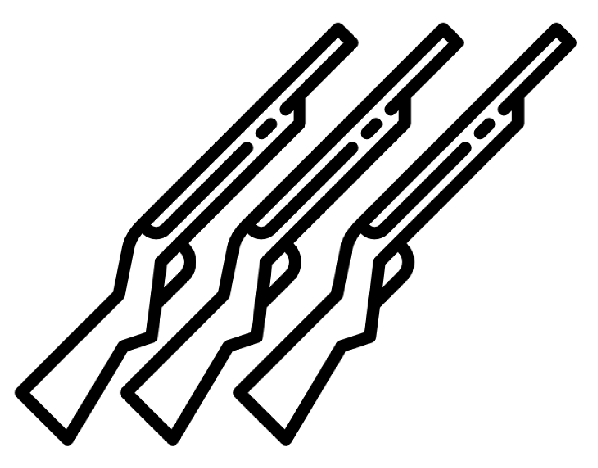 3 Gun Raffle Tickets