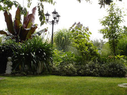 fe27ea46-b17f-4802-a7c9-bcd4fb180b40