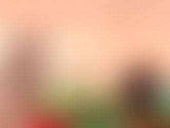 1er Encuentro de Floristas