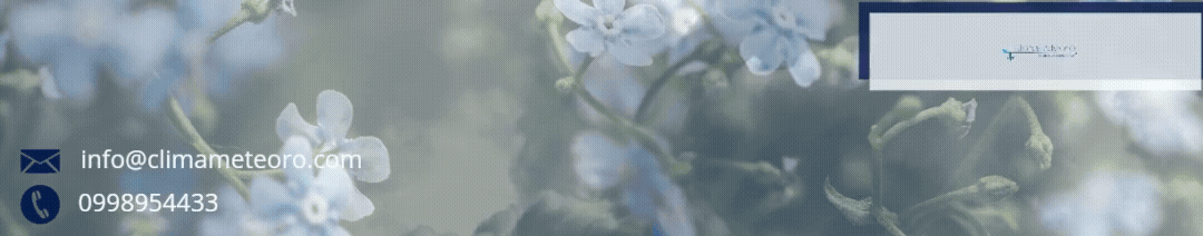 Dimensiones personalizadas 1224x241 px.gif