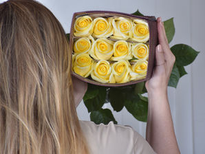 Sunny Days: A Fascinating Transformation in the Vase