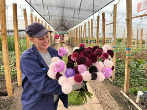 Valentine's 2026: Favorable weather conditions and optimized logistics