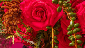 Diseñando para el optimismo: Color, expresión y flores del día a día