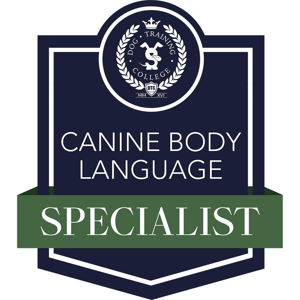 Canine Body Language_edited