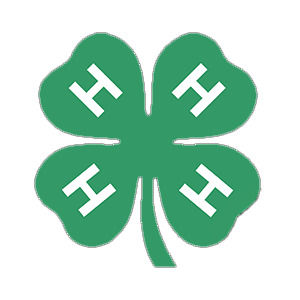 Celebrate Solstice with 4-H Creative Kids Club!