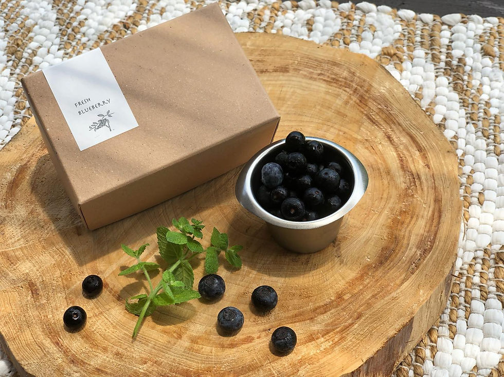 <予約販売>朝摘みブルーベリー400g〈選別済:7月中旬より順次発送〉