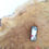 Thumbnail: Hand painted polymer clay brooch