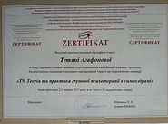 2017 июнь Т9. Теория и практика группово