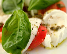 dietetic portfolio chelsea ebrus