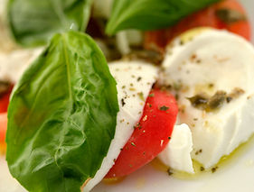 SnapShots menu photography, website design, Corpus Christi, Padre Island, Graphic Design, Photography, Invitations, food photography, promo photos, website design, logo, graphics, advertising, marketing, business cards,
