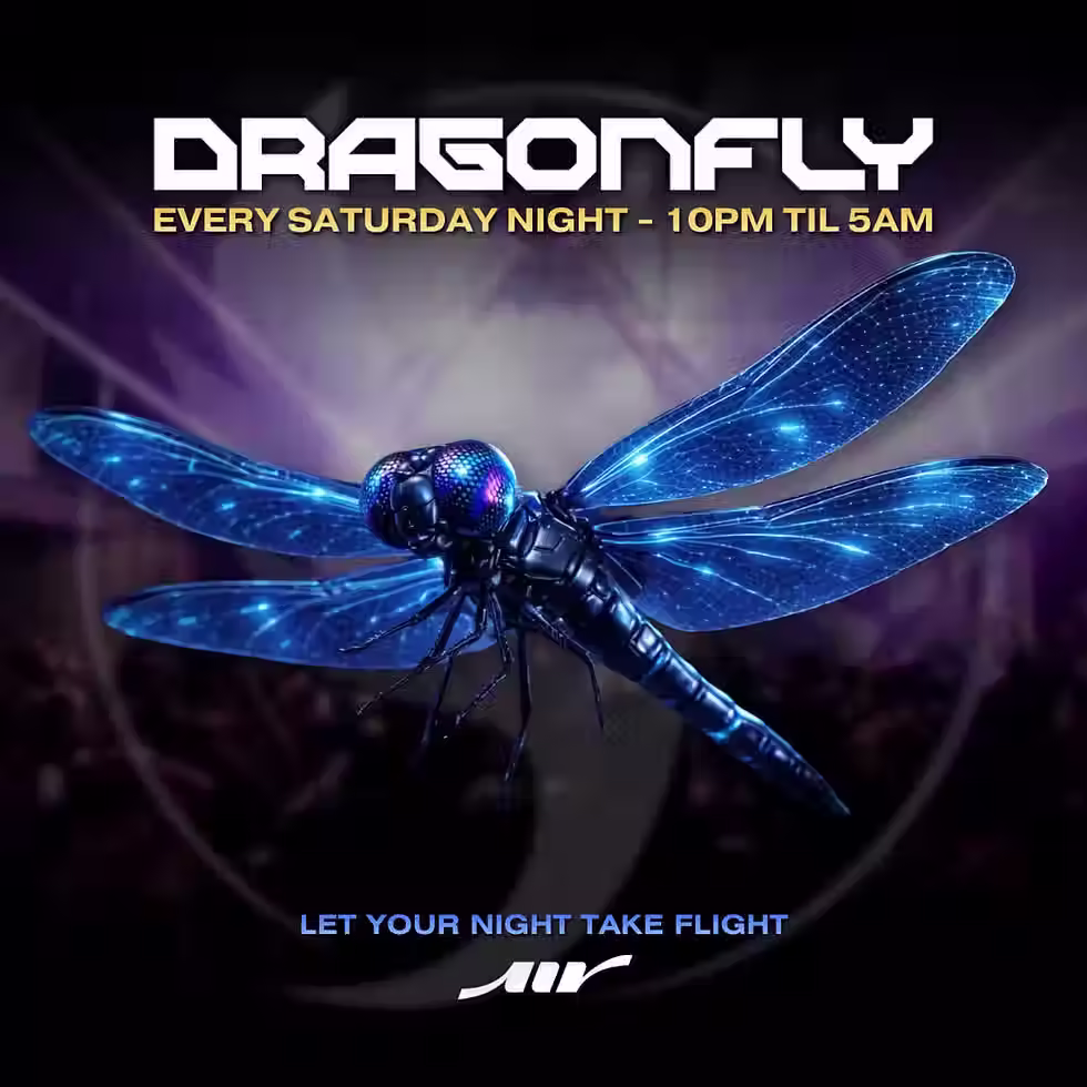 DRAGONFLY SATURDAYS