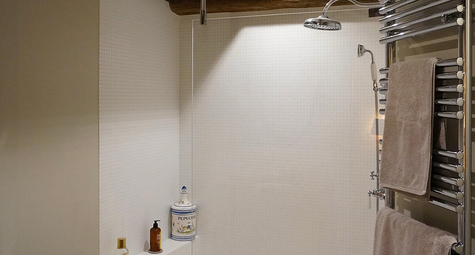 1 Projet FGM - Bâtiment 4 - Salle de bain 5 - ETIENNE LOMBARD ARCHITECTE.JPG