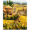 Thumbnail: Noon in Tuscany PBN-A144