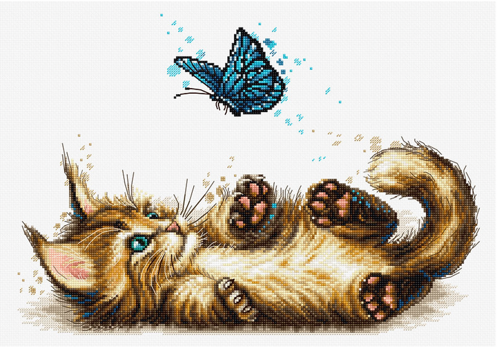 Playful Kitten, B7013