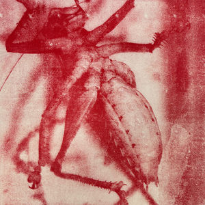 Monsters 1
Screenprint on Kozo paper
82 x 58cm
2015