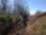 cache_4228960141.jpeg