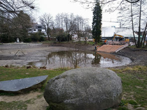 Winkelbach: Petition statt Antrag