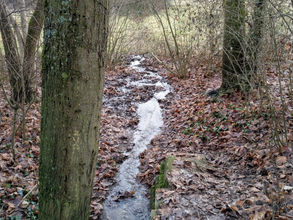 Begründung Offenlegung Winkelbach