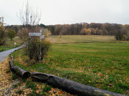 Wiesenparken ist überflüssig