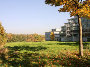 Weniger ist mehr für Kronberg